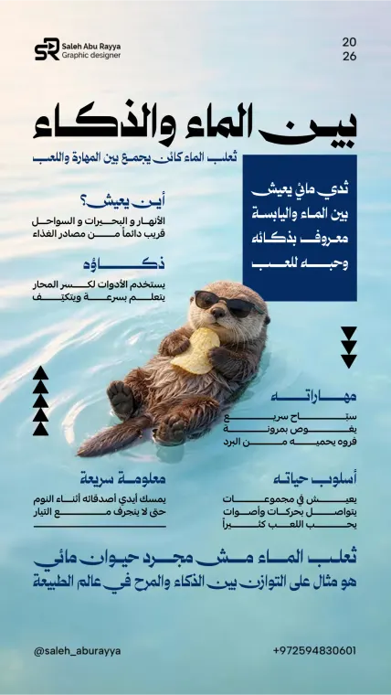 تصاميم الإنفوجرافيك 10