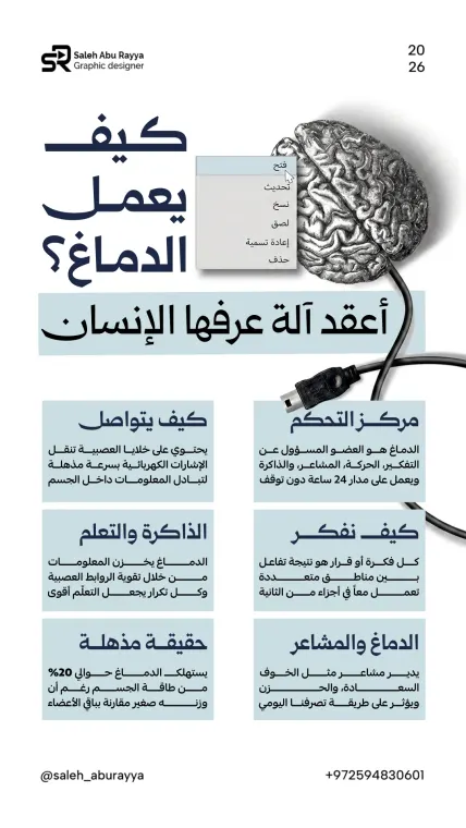 تصاميم الإنفوجرافيك 5